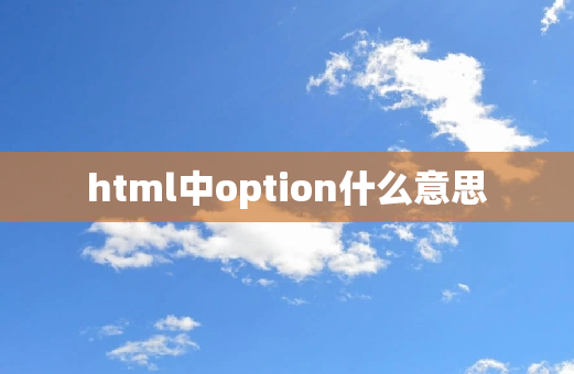 html中option什么意思