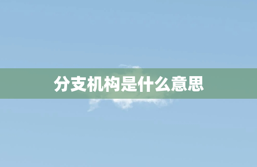 分支机构是什么意思