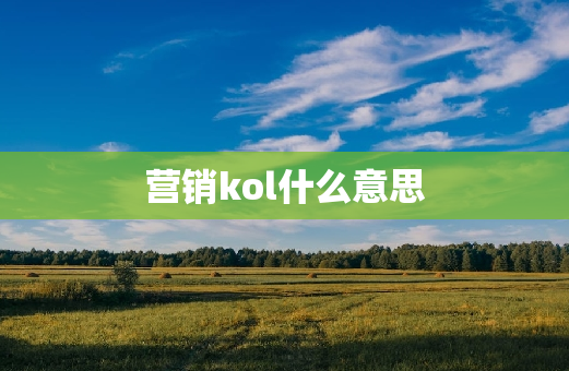 营销kol什么意思