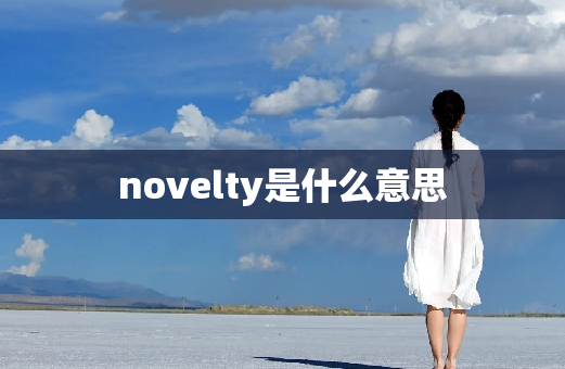 novelty是什么意思