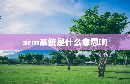 srm系统是什么意思啊