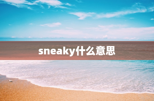 sneaky什么意思