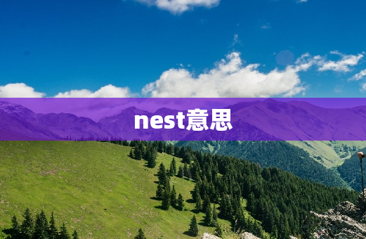 nest意思