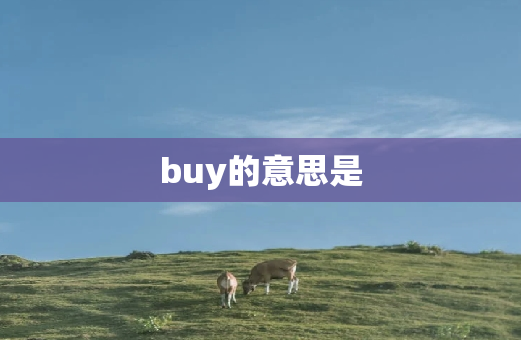 buy的意思是