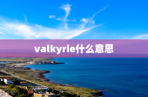 valkyrie什么意思