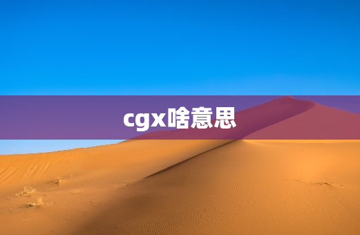 cgx啥意思