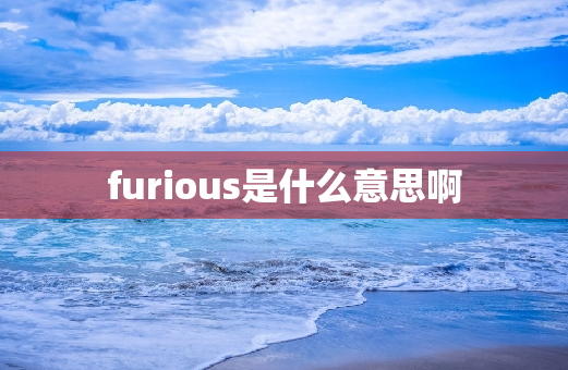 furious是什么意思啊