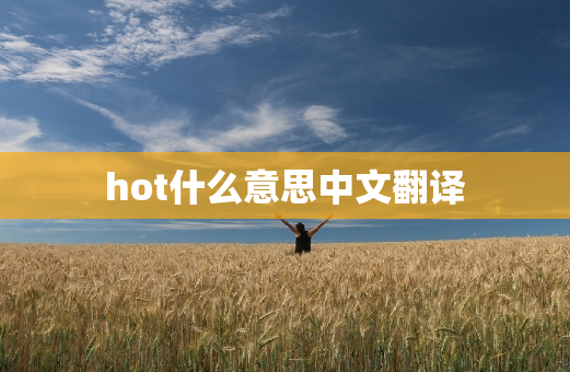 hot什么意思中文翻译