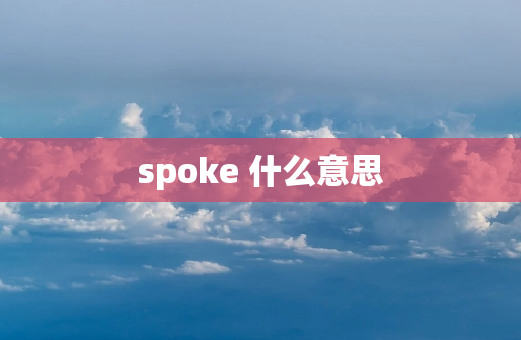 spoke 什么意思