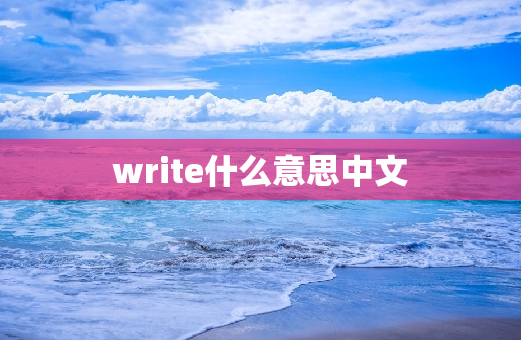 write什么意思中文