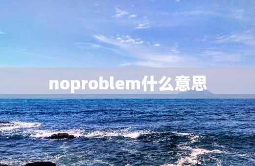 noproblem什么意思