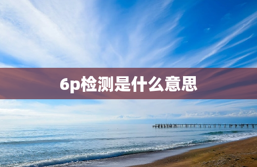 6p检测是什么意思