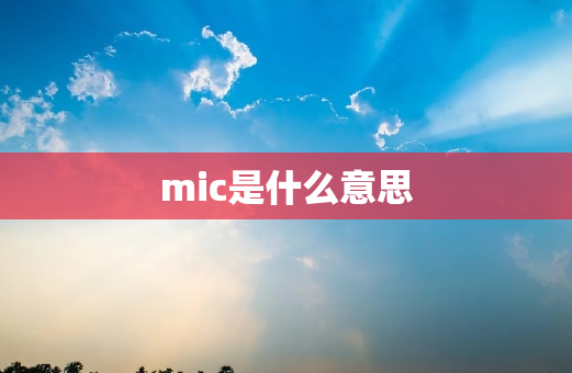 mic是什么意思