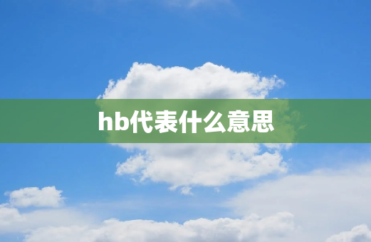 hb代表什么意思