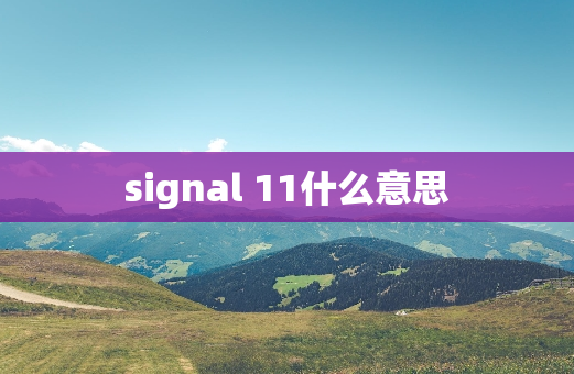 signal 11什么意思