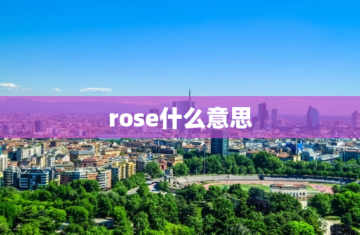 rose什么意思