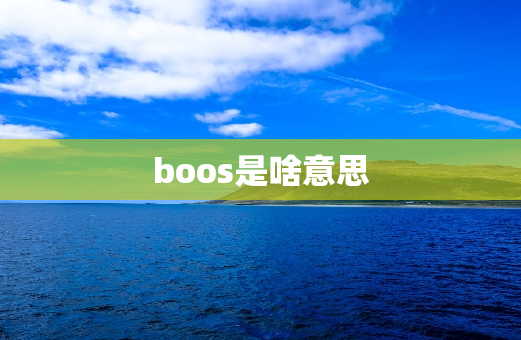 boos是啥意思