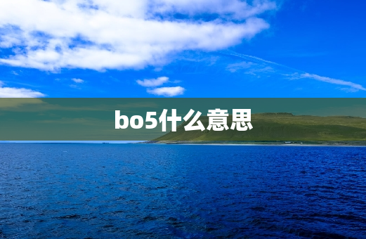 bo5什么意思