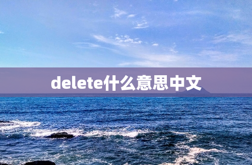 delete什么意思中文