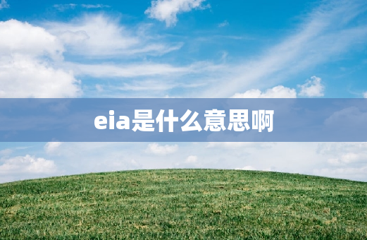 eia是什么意思啊