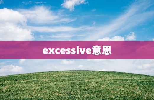 excessive意思