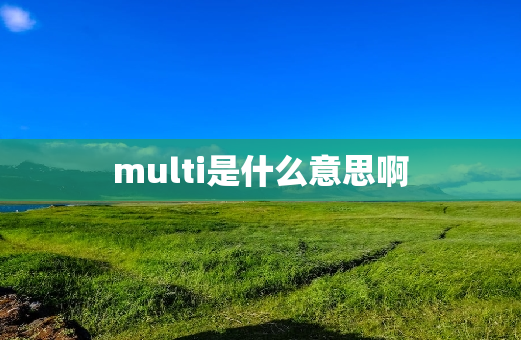 multi是什么意思啊