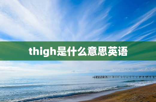 thigh是什么意思英语