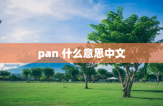 pan 什么意思中文