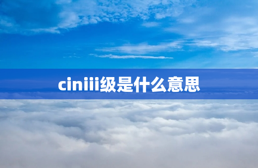 ciniii级是什么意思