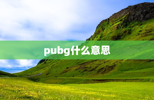 pubg什么意思