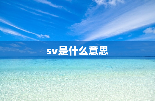 sv是什么意思