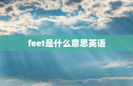 feet是什么意思英语