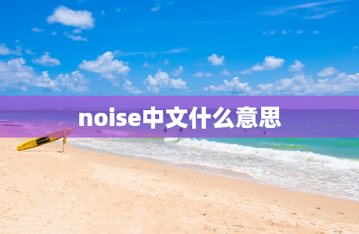 noise中文什么意思