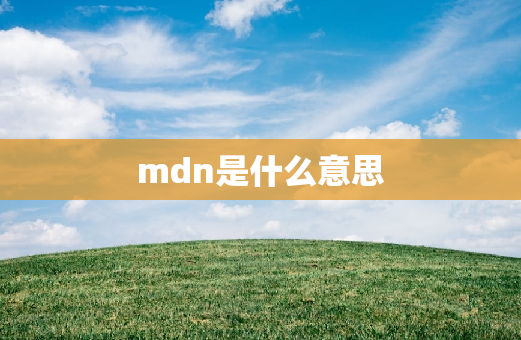 mdn是什么意思