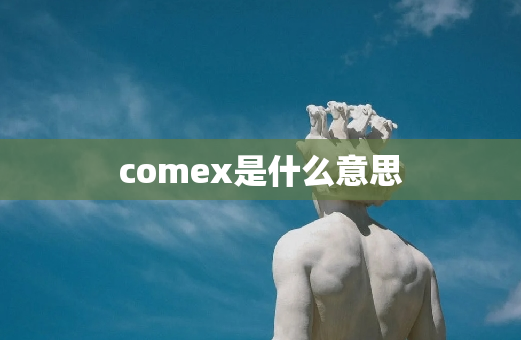 comex是什么意思