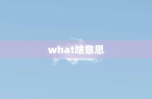 what啥意思