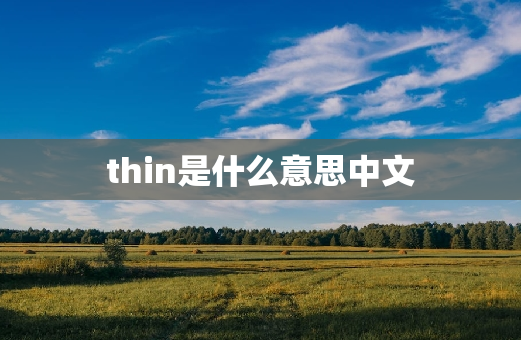 thin是什么意思中文