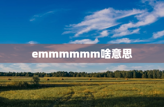 emmmmmm啥意思