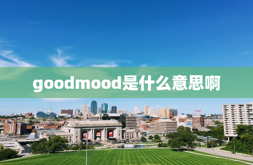 goodmood是什么意思啊