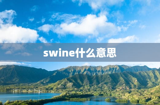 swine什么意思