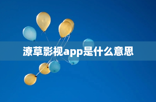 潦草影视app是什么意思