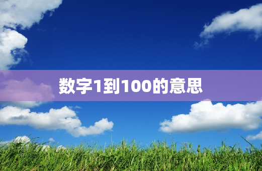 数字1到100的意思