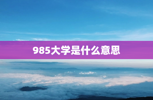 985大学是什么意思