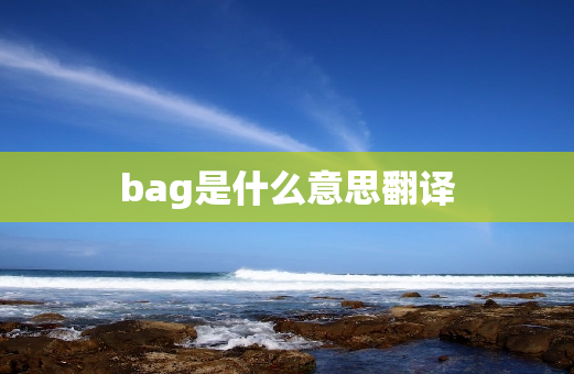 bag是什么意思翻译