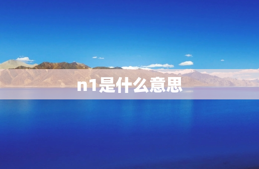 n1是什么意思