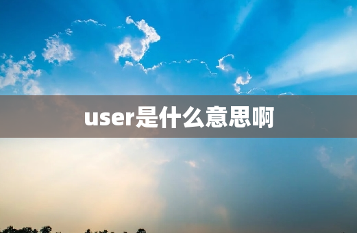 user是什么意思啊