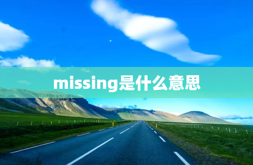 missing是什么意思