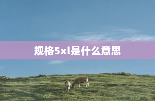 规格5xl是什么意思