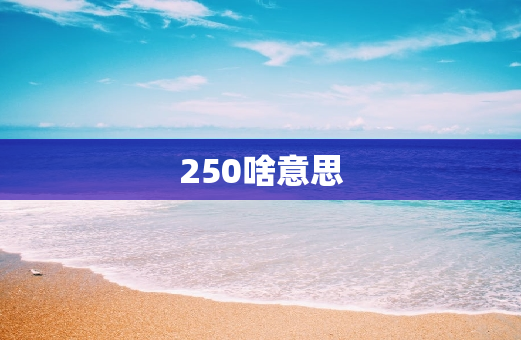 250啥意思