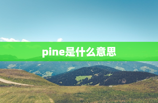 pine是什么意思